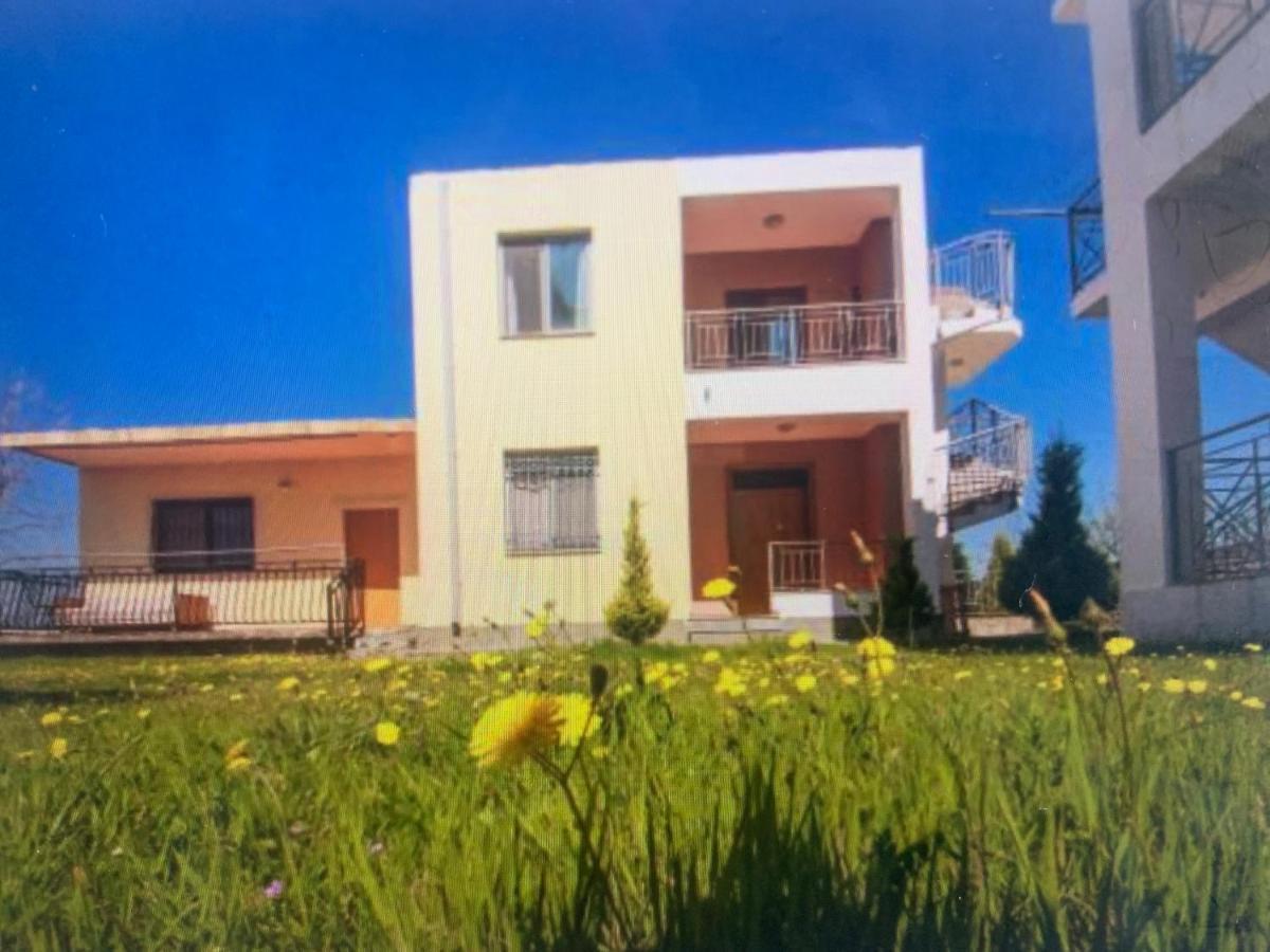 Shyqi Apartments Velipojë Buitenkant foto